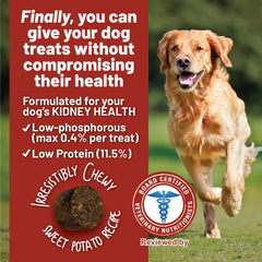 Dog enjoying a Dave's kidney treat, illustrating palatable renal-friendly snacking.