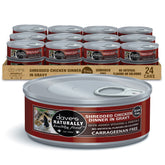 Dave's Pet Food shredded-chicken-in-gravy in cat bowl for hydration and protein.