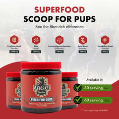 Daybreak Nutrition Fiber for Dogs dandelion root close-up emphasizing natural ingredients.