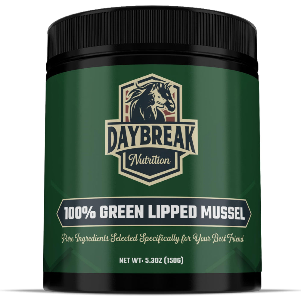 Daybreak Nutrition green lipped mussel powder bottle for dogs supports joint comfort