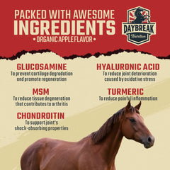 Daybreak Nutrition horse-in-training in motion illustrates use case.