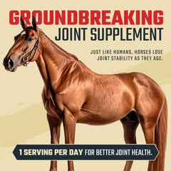 Daybreak Nutrition USA-made label signals quality manufacturing for joints.