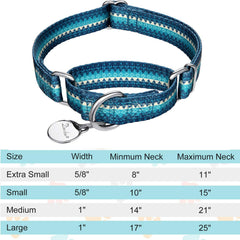 Dazzber geometric-pattern turquoise collar highlights stylish safety during daily walks.