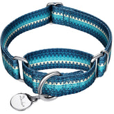 Dazzber martingale collar turquoise pattern supports secure training for medium and large dogs.