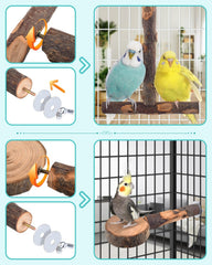 DBNESS combo T-shaped perch secures inside cage with easy mounting