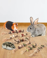 DBNESS rodent-friendly chew set supports chewing and engagement.