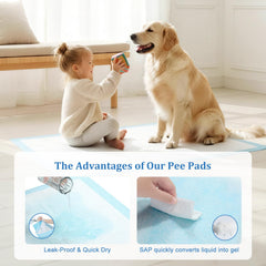 DD Curtain perforated top layer enables fast drying for a clean pad surface.