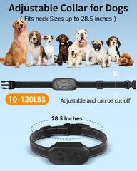 DDZ dog shock collar remote range 2000ft shown during outdoor training sessions.
