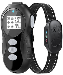 DDZ dog shock collar remote control in action for basic training in yard and park.
