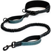 DearWells waist leash quick-release buckle enables hands-free control on walks