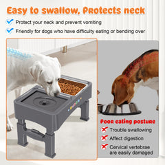 Decflow stainless steel feeding bowl highlights durability and easy cleaning