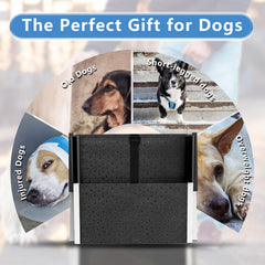 DeerGym dog stairs non-slip surface improves footing on slick floors.
