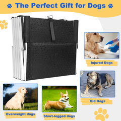 DeerGym foldable design makes travel simple with compact folding and storage.
