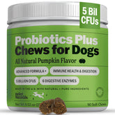Deley Naturals Probiotics Plus pumpkin chews closeup for digestion support