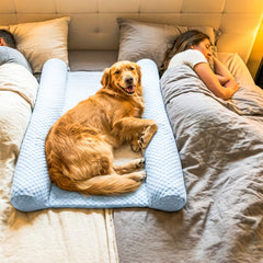 DenMate on-bed dog bed with blue cover creates a defined space for calmer nights.