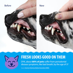 Dental Fresh bottle being poured into the pet water bowl.