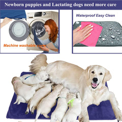 DEOMAN chew-resistant cord supports safer use around pets