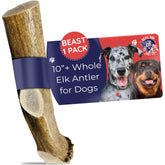 Devil Dog Elk Antler 10-inch for durable chewing and long-lasting entertainment.