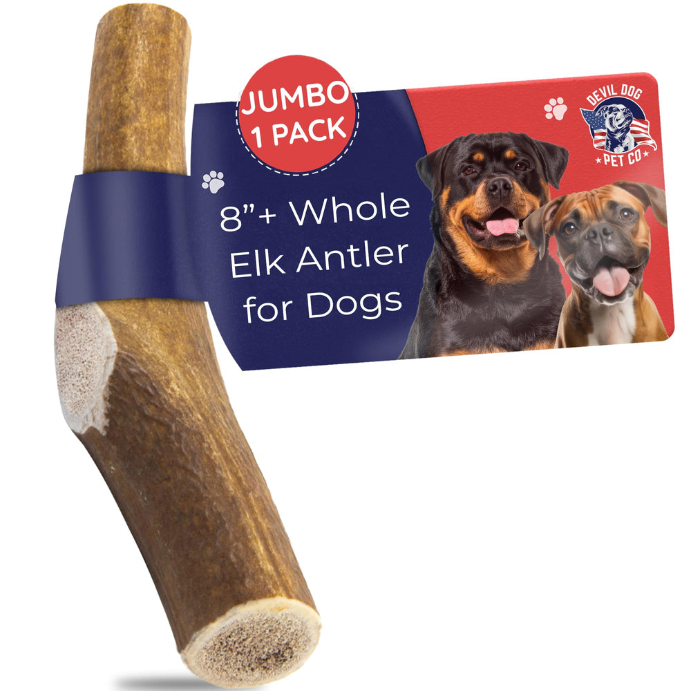 Devil Dog Elk Antler Jumbo 8in: durable chew for large dogs
