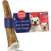 Devil Dog elk antler small 4 inch chew for tiny dogs