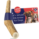 Devil Dog Elk Antler whole large 6+ inches for long-lasting chewing