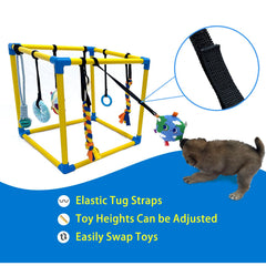 Dewonch play gym shows the bungee suspension in action for safe, interactive paw play.