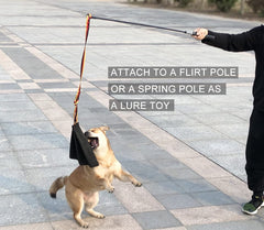 Dewonch puppy bite rag aids prey-drive development during training