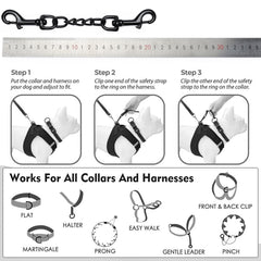 DEYACE metal dog collar safety clip on 10-inch backup secures medium collars.