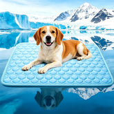 dgdgbaby Arc-Chill cooling mat on a dog for instant relief on hot days