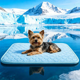 dgdgbaby Arc-Chill cooling mat top view showing instant cooling for hot days