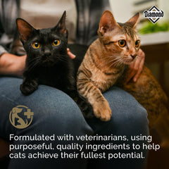 Diamond Legacy maintenance cat dry food back nutrition panelâtaurine and omega support