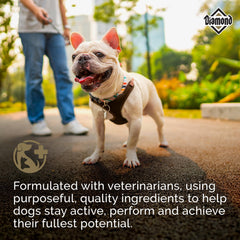 Diamond Maintenance omega fatty acids promote healthy coat and skin.