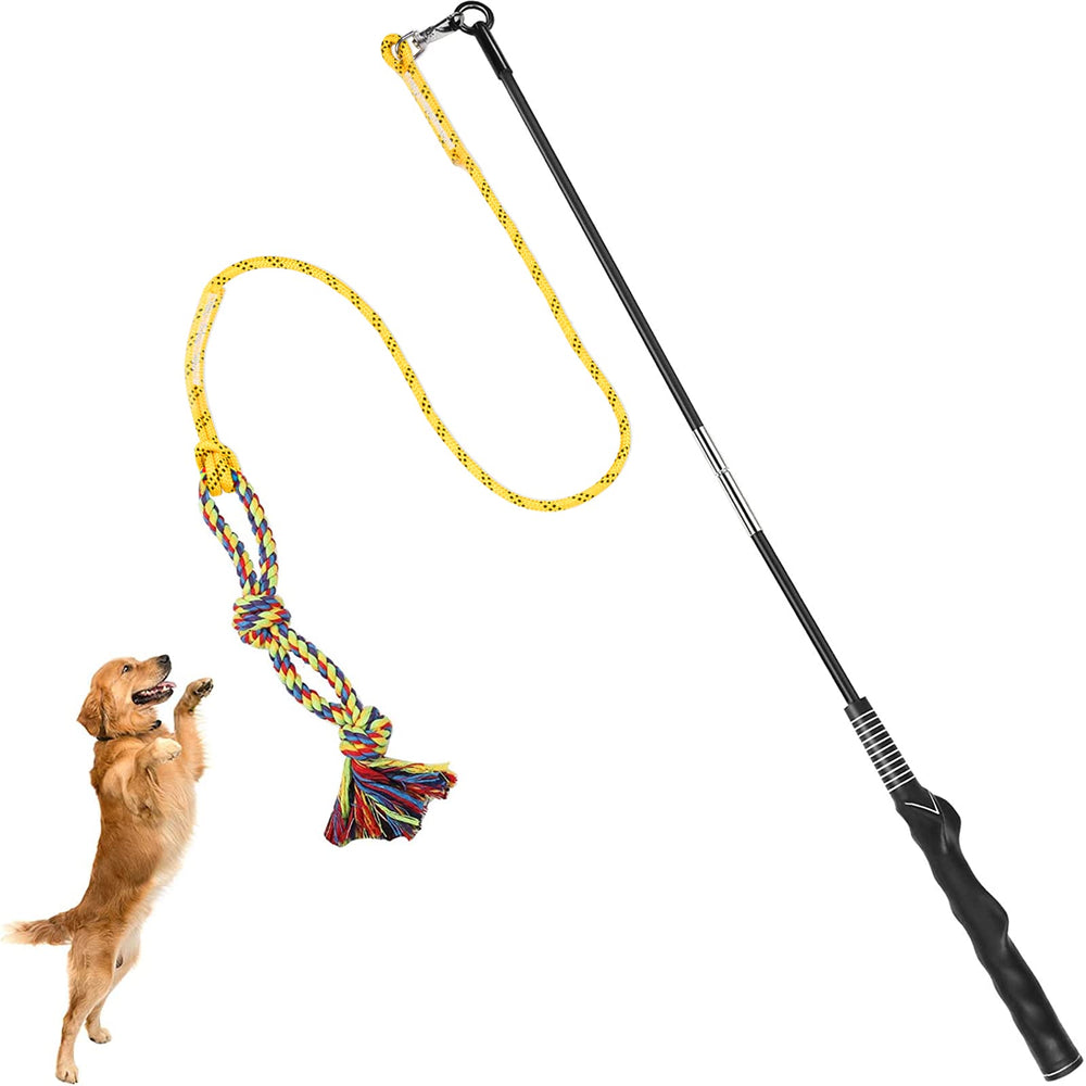DIBBATU Flirt Pole in action for dogs, promoting playful tug and chase.