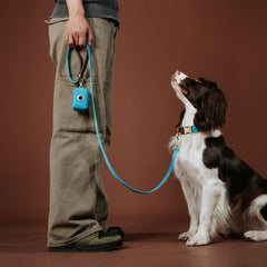 Didog adjustable strap on large dog collar ensures comfy fit.
