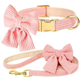 Didog collar-bowtie-pink for stylish daily strolls.