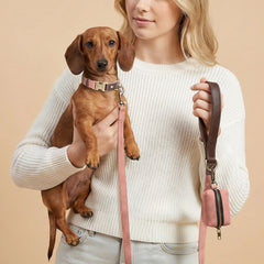 Didog easy-clean PU leather collar, wipe with damp cloth after adventures.