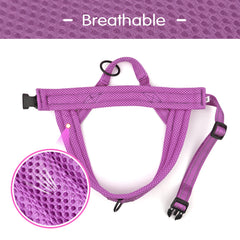 Didog No-Pull Harness chest D-ring for controlled training