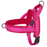 Didog No Pull XS chest-strap for secure small-dog walks