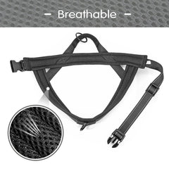 Didog harness shows double D-ring control for training and walking.