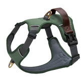 Didog No Pull Harness front-clip green for confident control on walks.