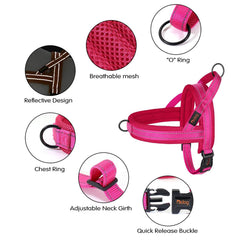 Didog No Pull harness one-buckle quick-fit for easy on-off