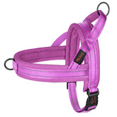 Didog No Pull Harness with quick-fit buckle for fast fitting on daily walks