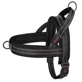 Didog No Pull Harness with soft mesh padding for comfortable walks.