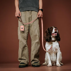 Didog leash featuring a 360-degree-clasp to prevent twisting.