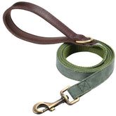 Didog PU leather leash small dogs, 4.5ft, comfortable daily walks.