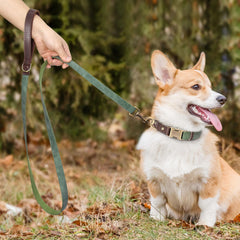 Didog leash with soft padded handle, green, reduces hand fatigue on long strolls.