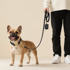 Didog quick-release buckle ensures fast, secure collar on walks.