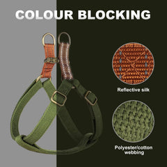 Didog harness showing secure adjusters and buckles for safety.