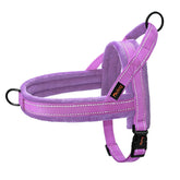 Didog Soft Flannel Padded Vest shows chest-fit design for gentle, comfortable walks.