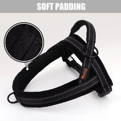 Didog quick-fit buckle for easy on/off and hassle-free wearing.